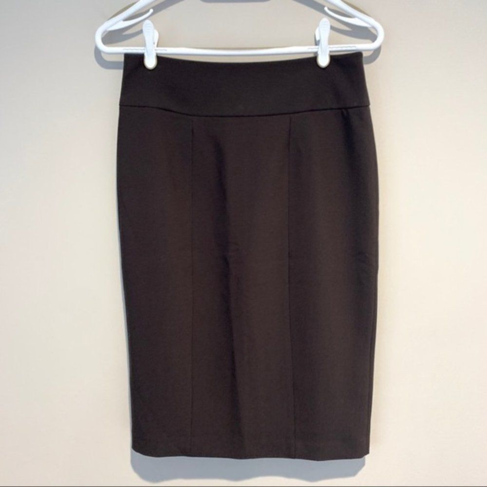 New Brown Rw&Co Skirt Size 2